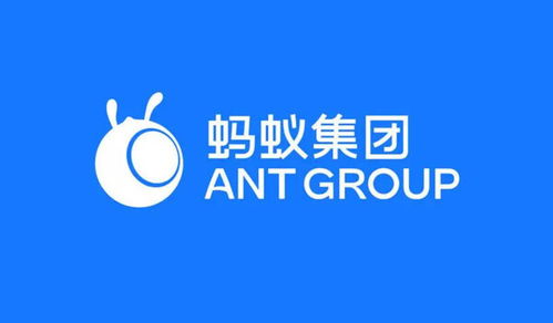 螞蟻集團在渝成立數字天螞公司，注冊資本1億元加碼網絡技術服務